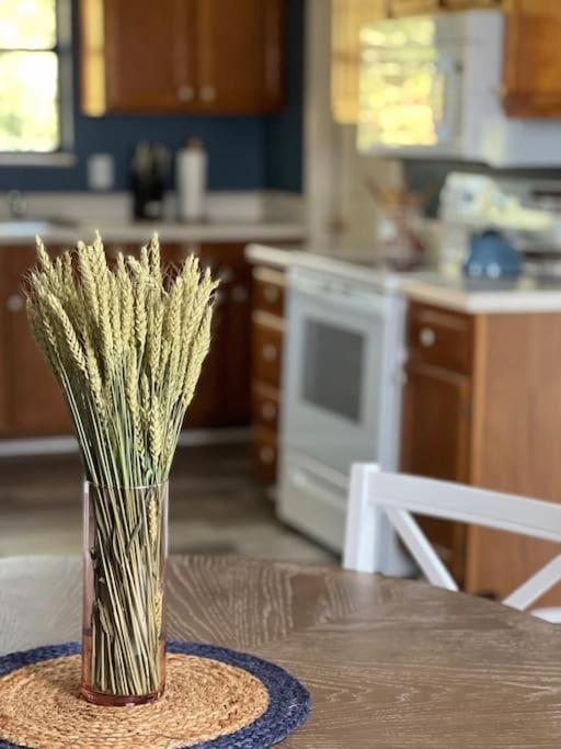 Charming House In Sevierville Family Friendly Quiet Location Close To Wilderness Bagian luar foto